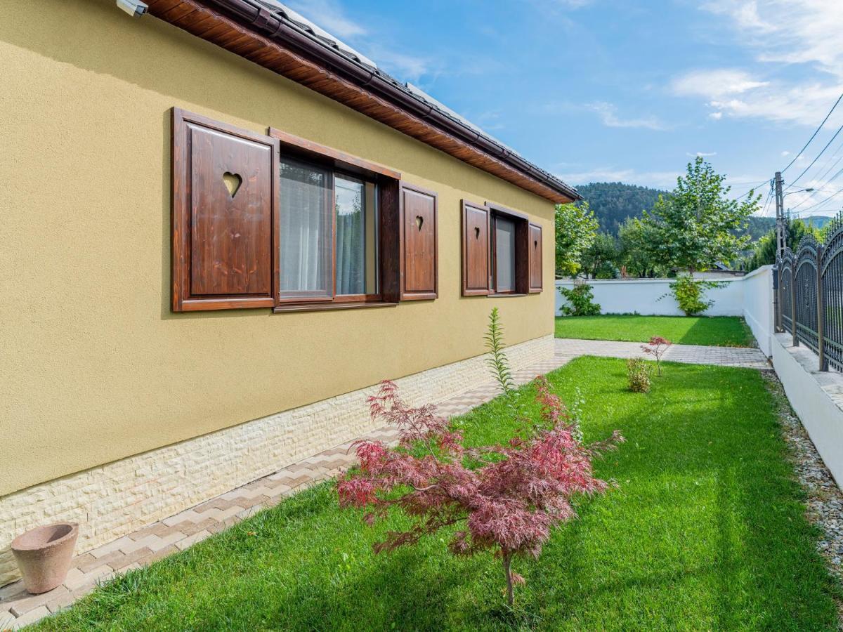 Casa Saraste Hotel Rîşnov Buitenkant foto